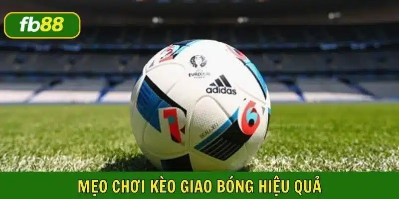 Hãy chọn đội mà bạn yêu thích để đặt cược