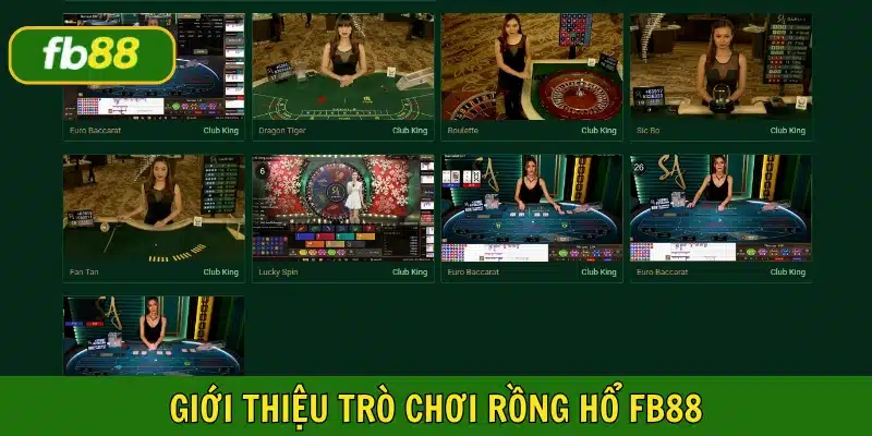 Rồng hổ FB88 thu hút đông đảo người tham gia năm 2025