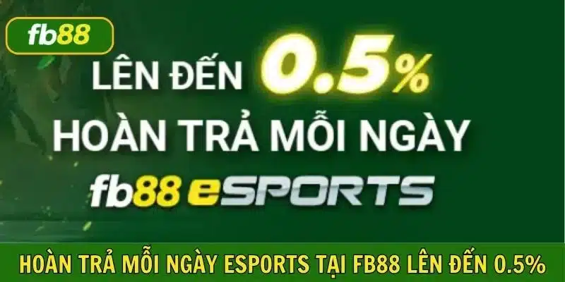 hoàn trả mỗi ngày esport