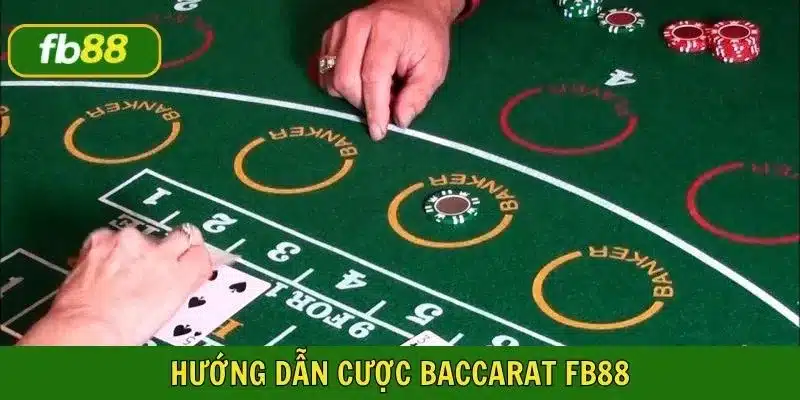 Cách đặt cược khi chơi baccarat trực tuyến