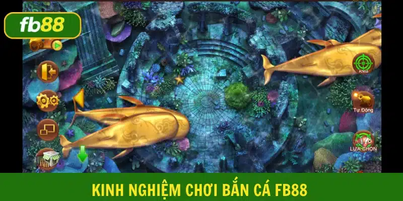 Một số kinh nghiệm đi săn hiệu quả, thắng lớn được sử dụng