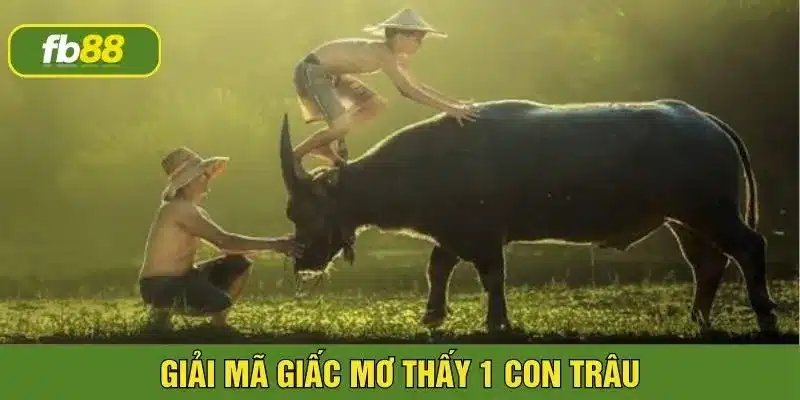 Nằm mơ thấy 1 con trâu là điềm báo may mắn