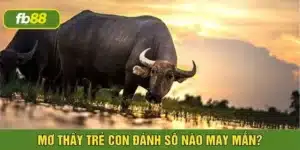 Mơ thấy trâu đánh con gì