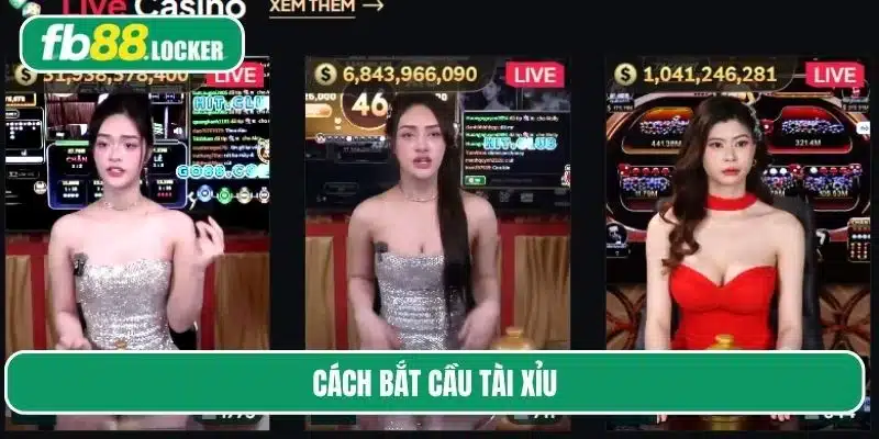 cách bắt cầu tài xỉu