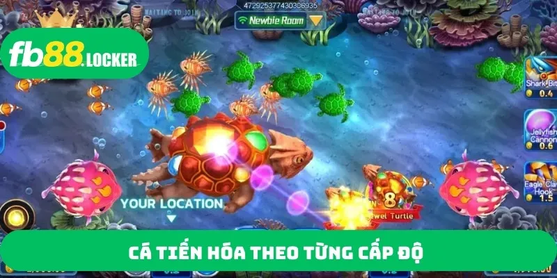 Cá tiến hóa theo từng cấp độ 