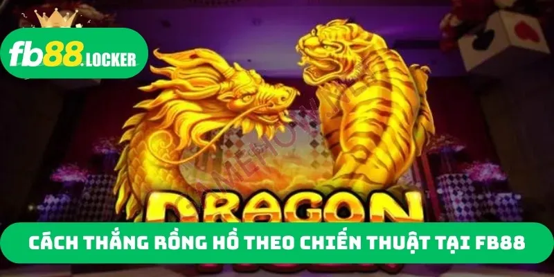 Cách thắng rồng hồ theo chiến thuật tại FB88 