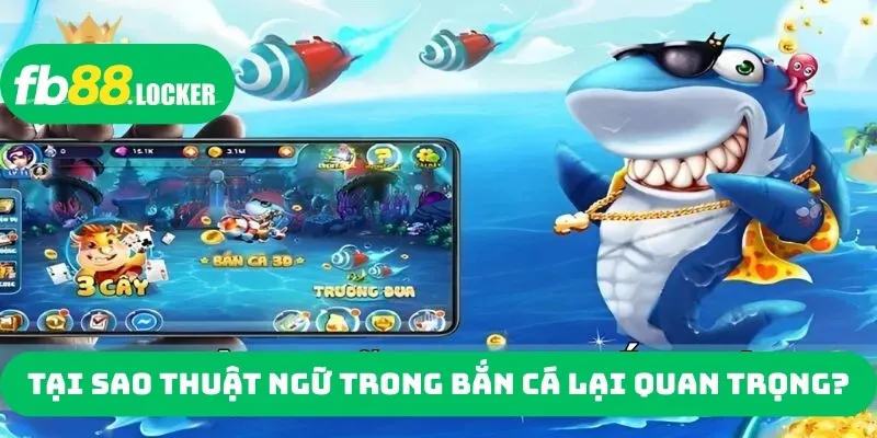 Tại sao thuật ngữ trong bắn cá lại quan trọng?